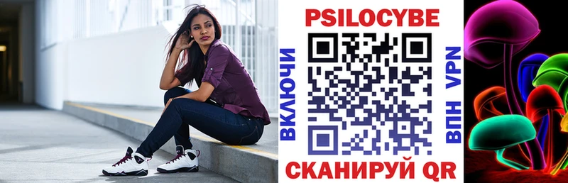 Псилоцибиновые грибы Cubensis  где найти   Туран 